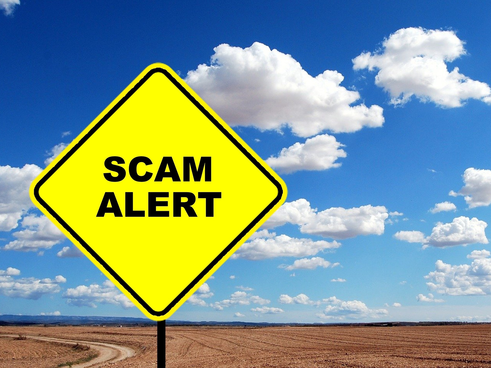 What To Do If Youve Been Scammed 8167